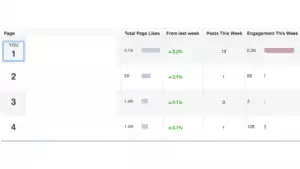facebook insights