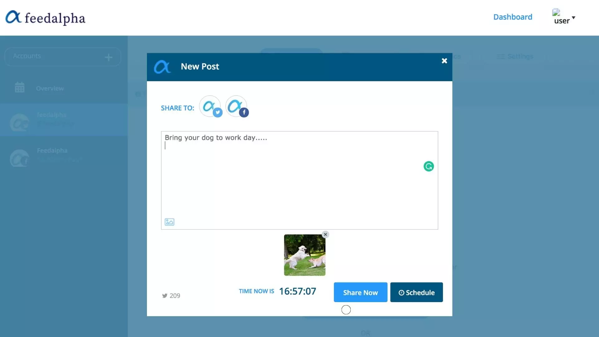 feedalpha_schedule Schedule with feedalpha