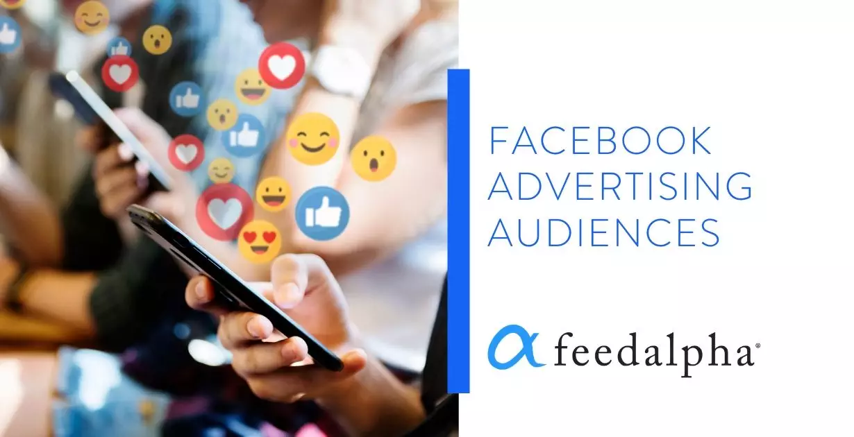 Facebook Advertising Audiences 