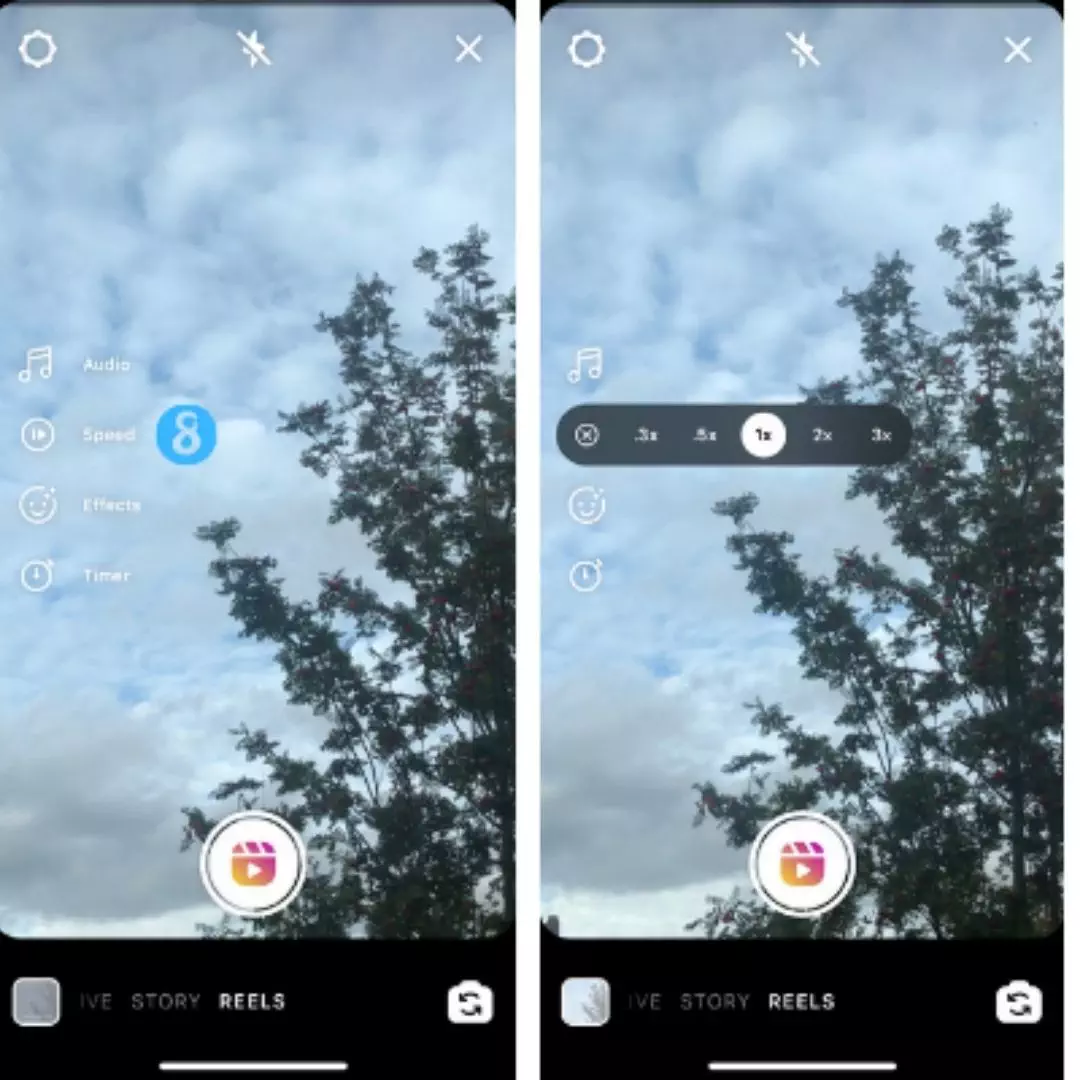 feedalpha-reels-music instagram reels music