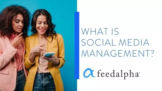 social media management