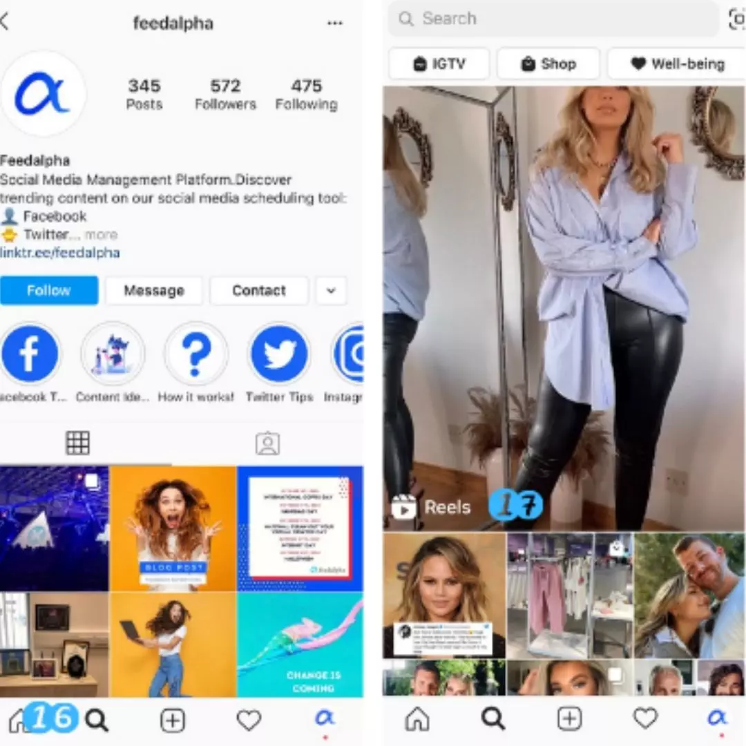 feedalpha-instagram Instargam Reels explore page