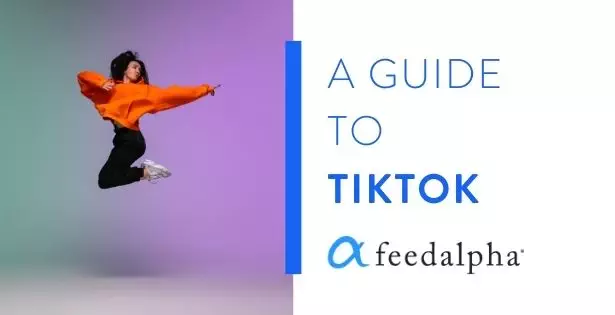 A guide to TikTok