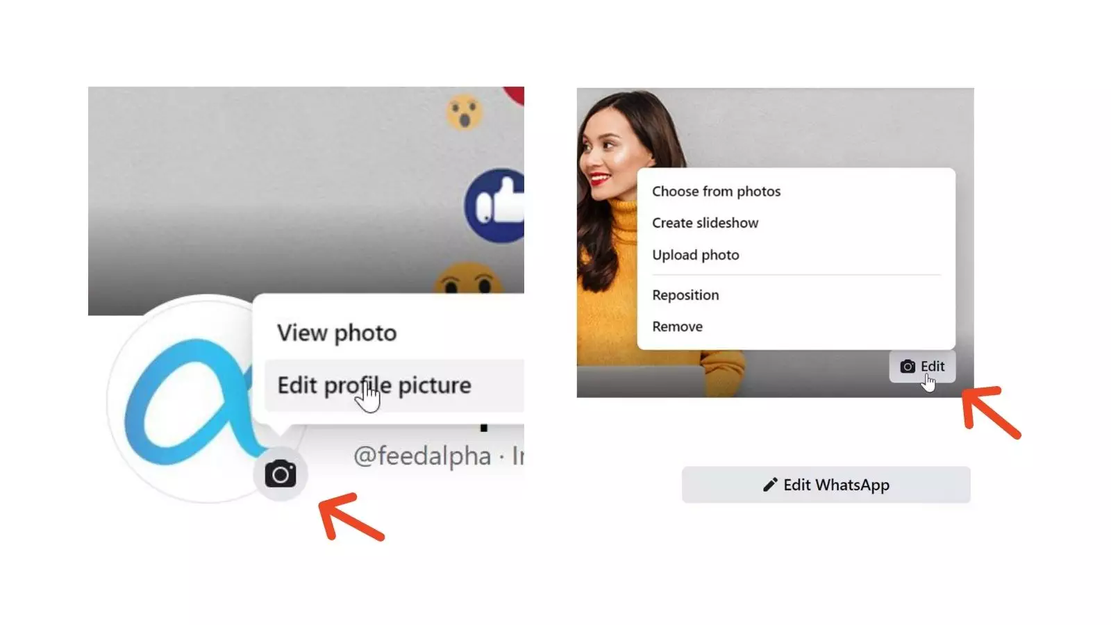feedalpha how to edit a FB business page 3