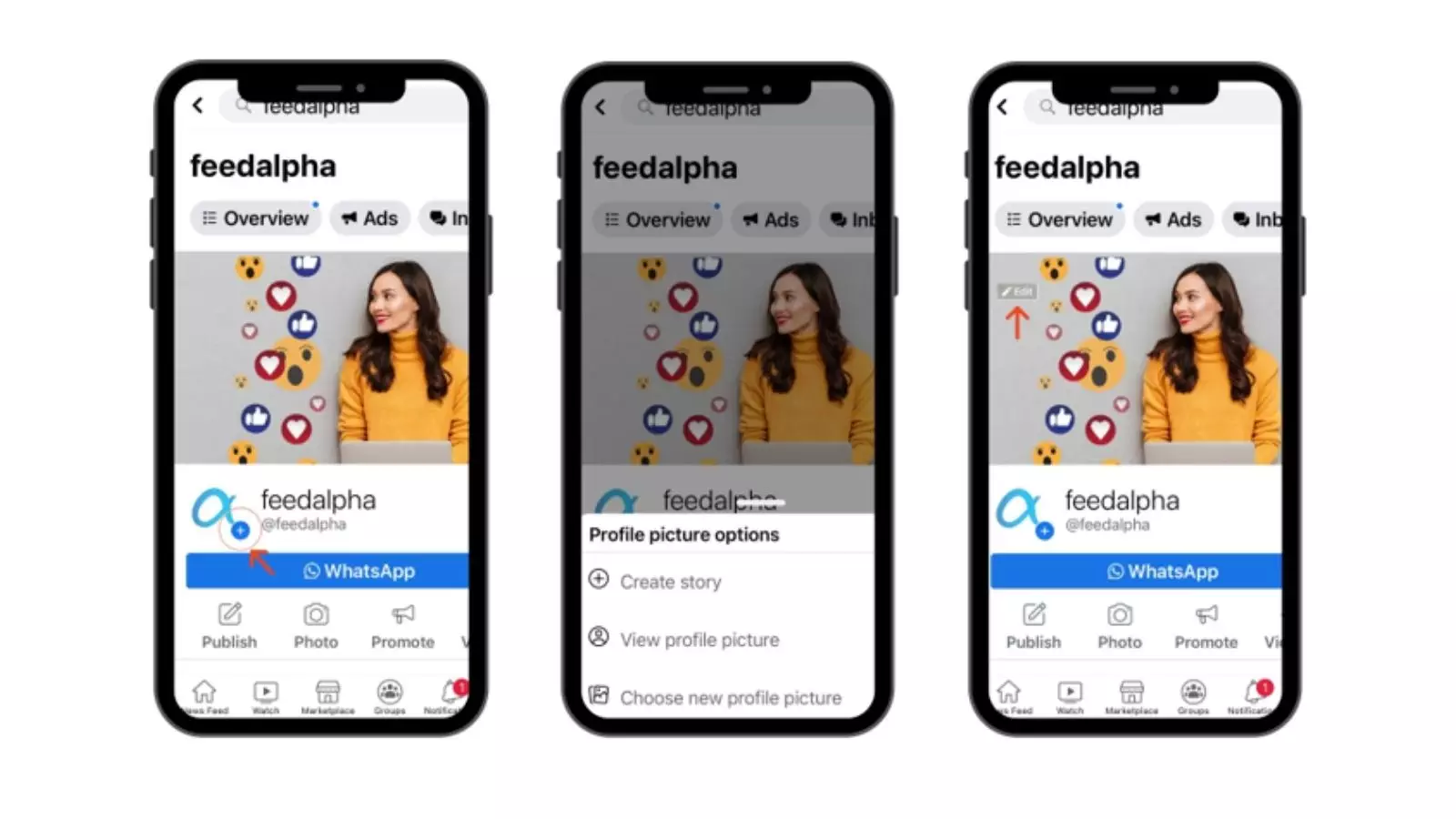 feedalpha how to edit a FB business page 4