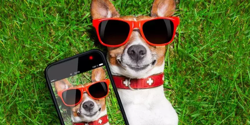 social media marketing social media marketing